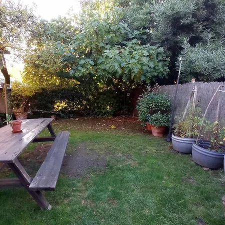 Landsted La Nogala *